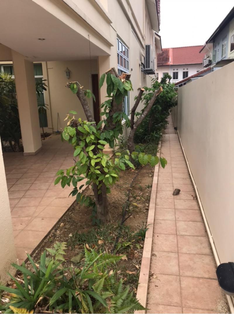 Detached for Sale, Brighton Ave  Detached House For Sale, $12,000,000, 8 Bed 8 Bath 10,000 sqft $1,666.00 psf, SGD 12,000,000