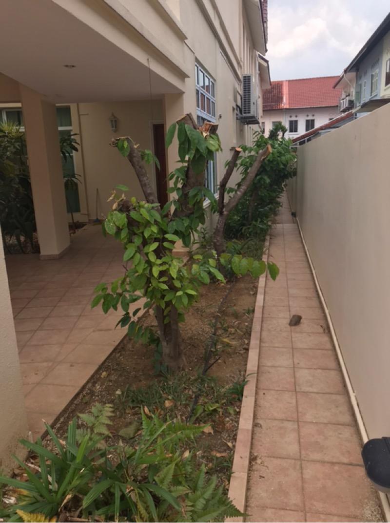 Detached for Sale, Brighton Ave  Detached House For Sale, $12,000,000, 8 Bed 8 Bath 10,000 sqft $1,666.00 psf, SGD 12,000,000