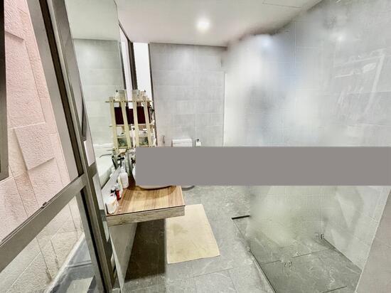Semi-Detached for Sale, The Woods Semi-Detached House For Sale, $2,980,000, 6 Bed 5 Bath 4,004 sqft $744.00 psf, SGD 2,980,000 | 99-year Leasehold