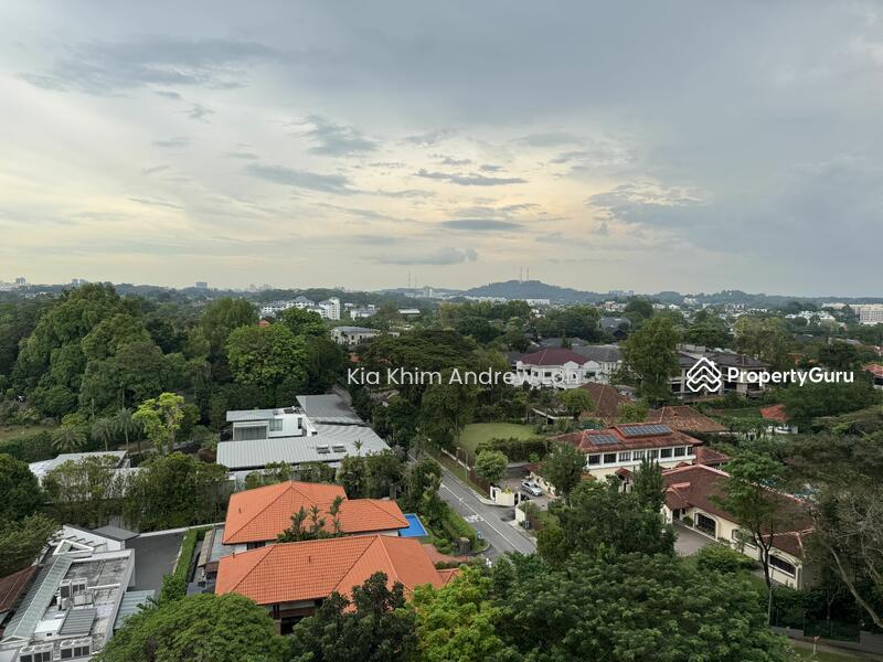 Condominium for Sale, Leedon Residence, SGD 18,000,000 | Freehold