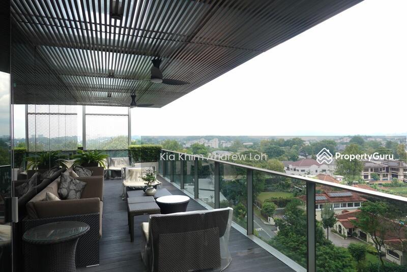 Condominium for Sale, Leedon Residence, SGD 18,000,000 | Freehold
