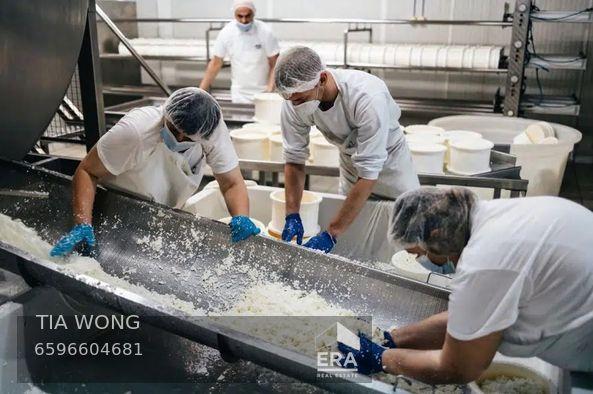 Factory for Sale, Harrison Road Food Factory @ Harrison Road Tai Seng, SGD 3,098,880 | Freehold