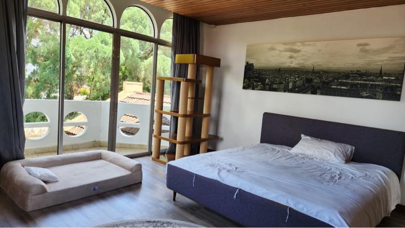 Bungalow for Sale, Affordable Freehold Bungalow in D11 @ $1680psf Bungalow House For Sale, $16,900,000, 5 Bed 5 Bath 5,, SGD 16,900,000 | Freehold
