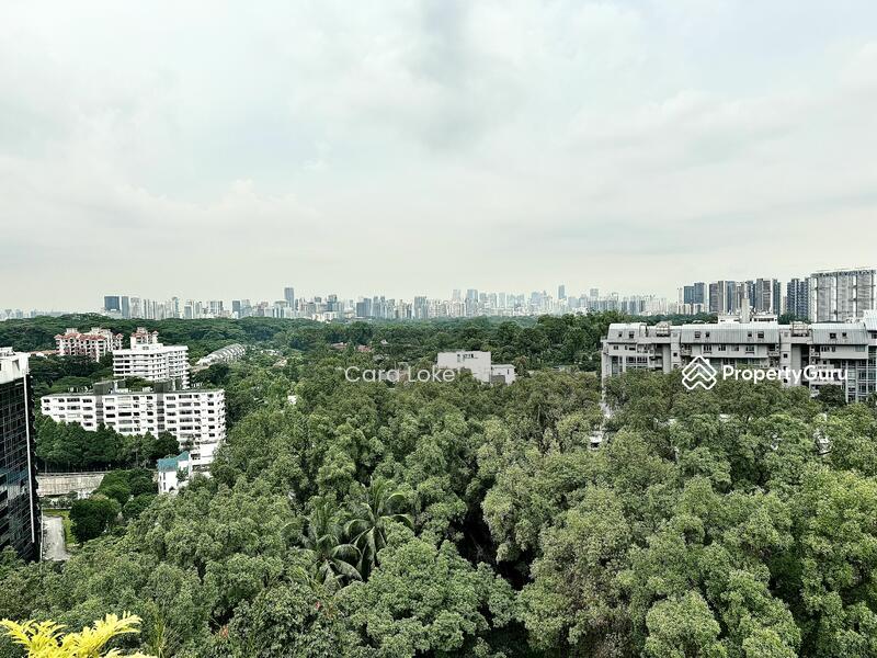 Condominium for Sale, 15 Holland Hill, SGD 19,888,000 | Freehold