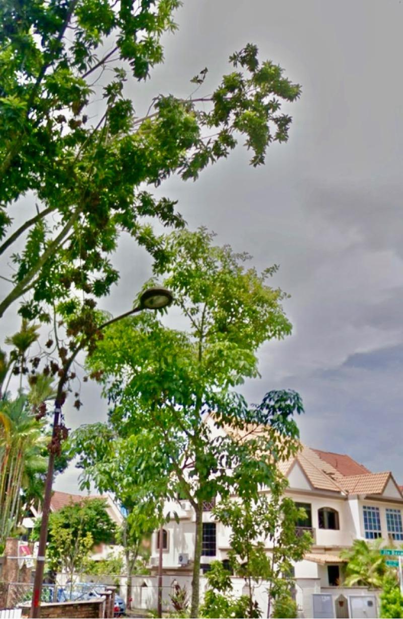 Prop-GPT: Detached: D23  Hillview Garden Estate