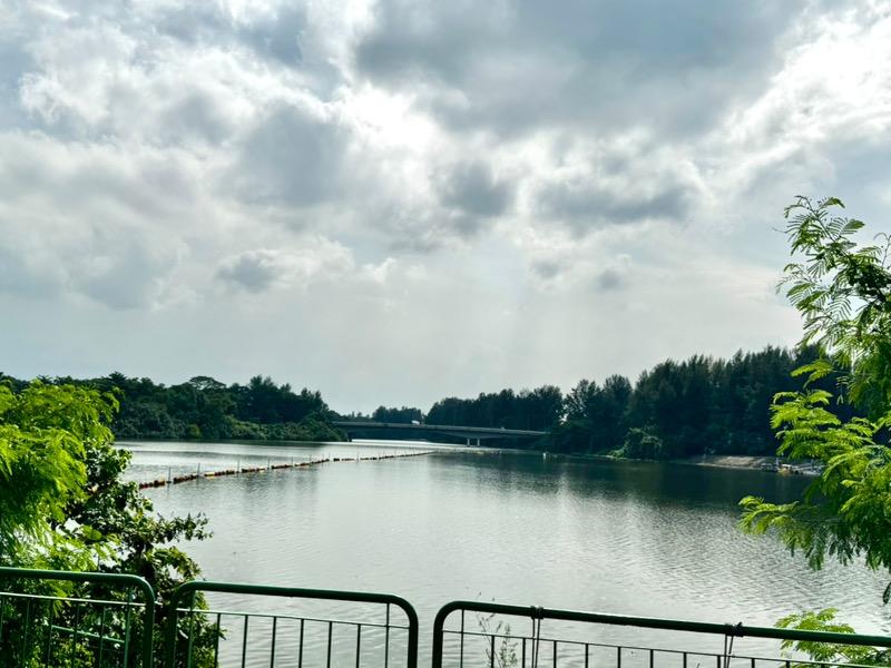 HDB Apartment for Sale: Punggol, D19, 821325