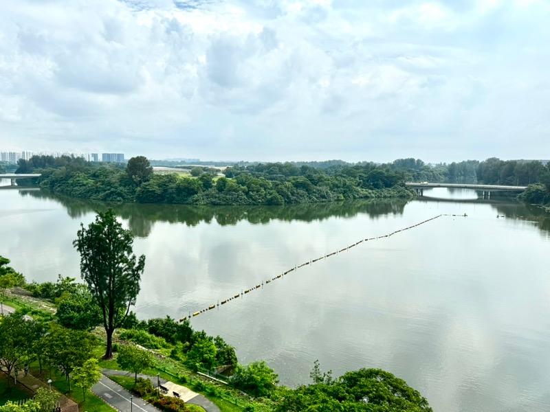 HDB Apartment for Sale: Punggol, D19, 821325