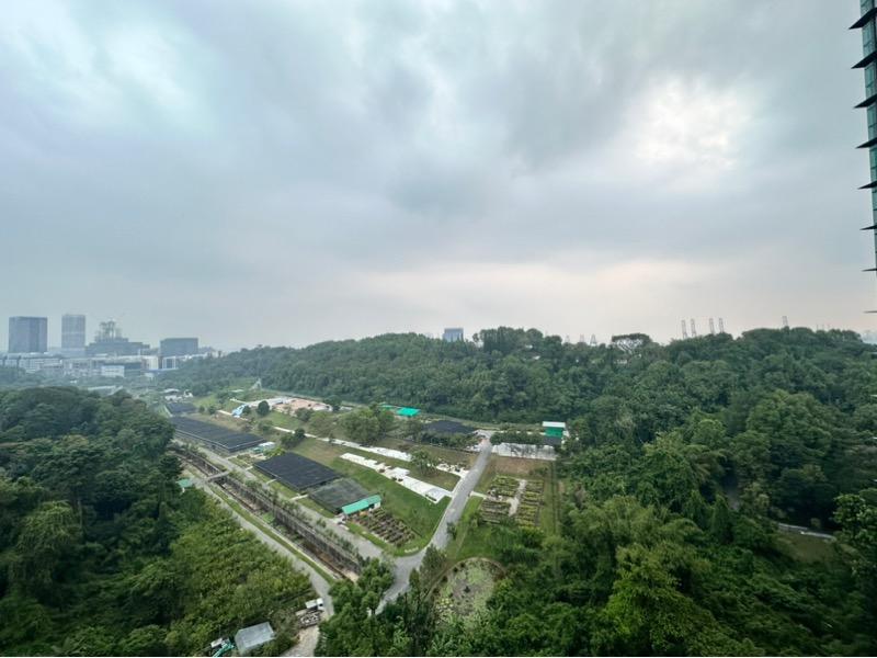 Condominium for Sale, Normanton Park Condominium For Sale, $1,600,000, 2 Bed 1 Bath 667 sqft $2,399.00 psf, SGD 1,600,000
