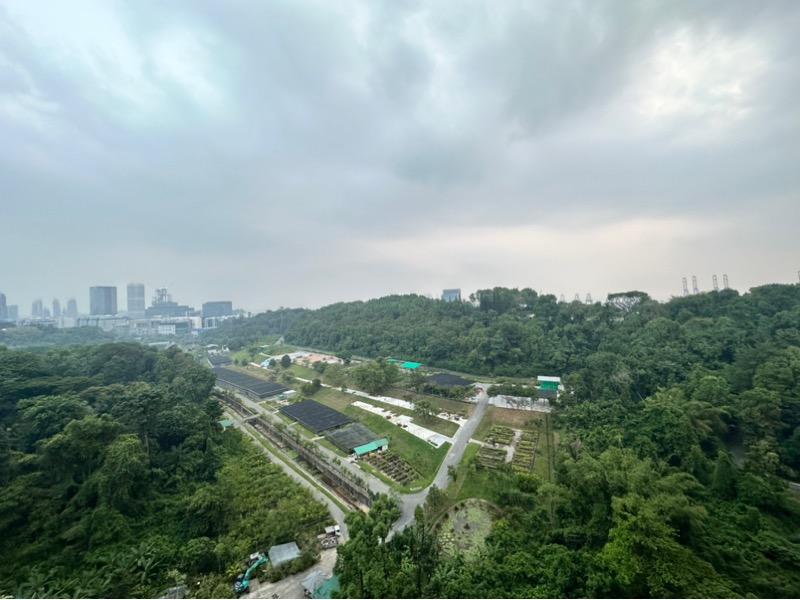 Condominium for Sale, Normanton Park Condominium For Sale, $1,600,000, 2 Bed 1 Bath 667 sqft $2,399.00 psf, SGD 1,600,000
