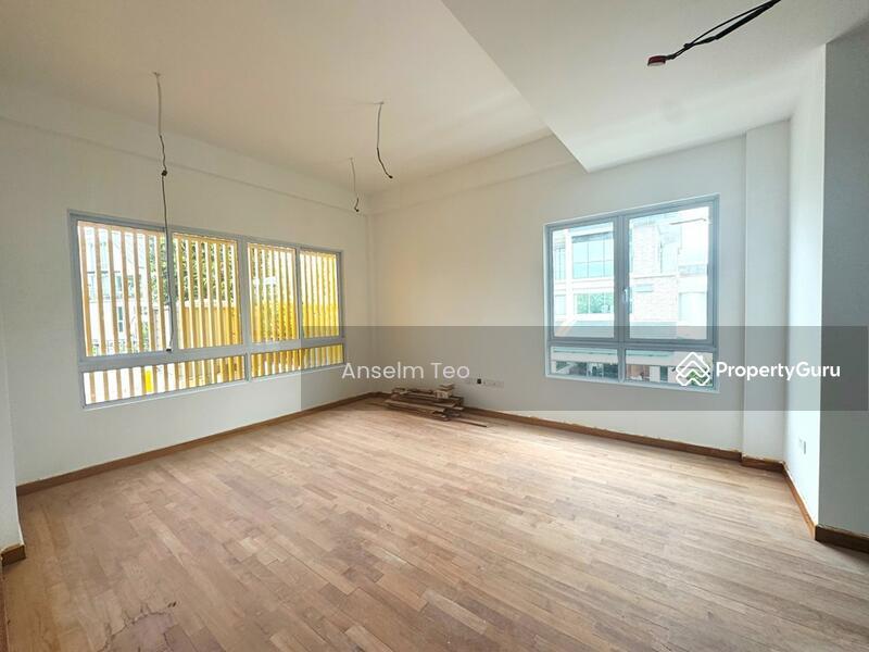 Prop-GPT: Semi-Detached: D17  Brand New Freehold Semi-D @ Jalan Mariam, Changi Heights Estate