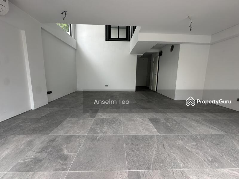 Prop-GPT: Corner Terrace: D19  ??D19 Lorong Chuan OPEN HOUSE