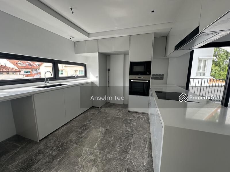 Corner Terrace for Sale, ??D19 Lorong Chuan OPEN HOUSE, SGD 6,980,000 | Freehold