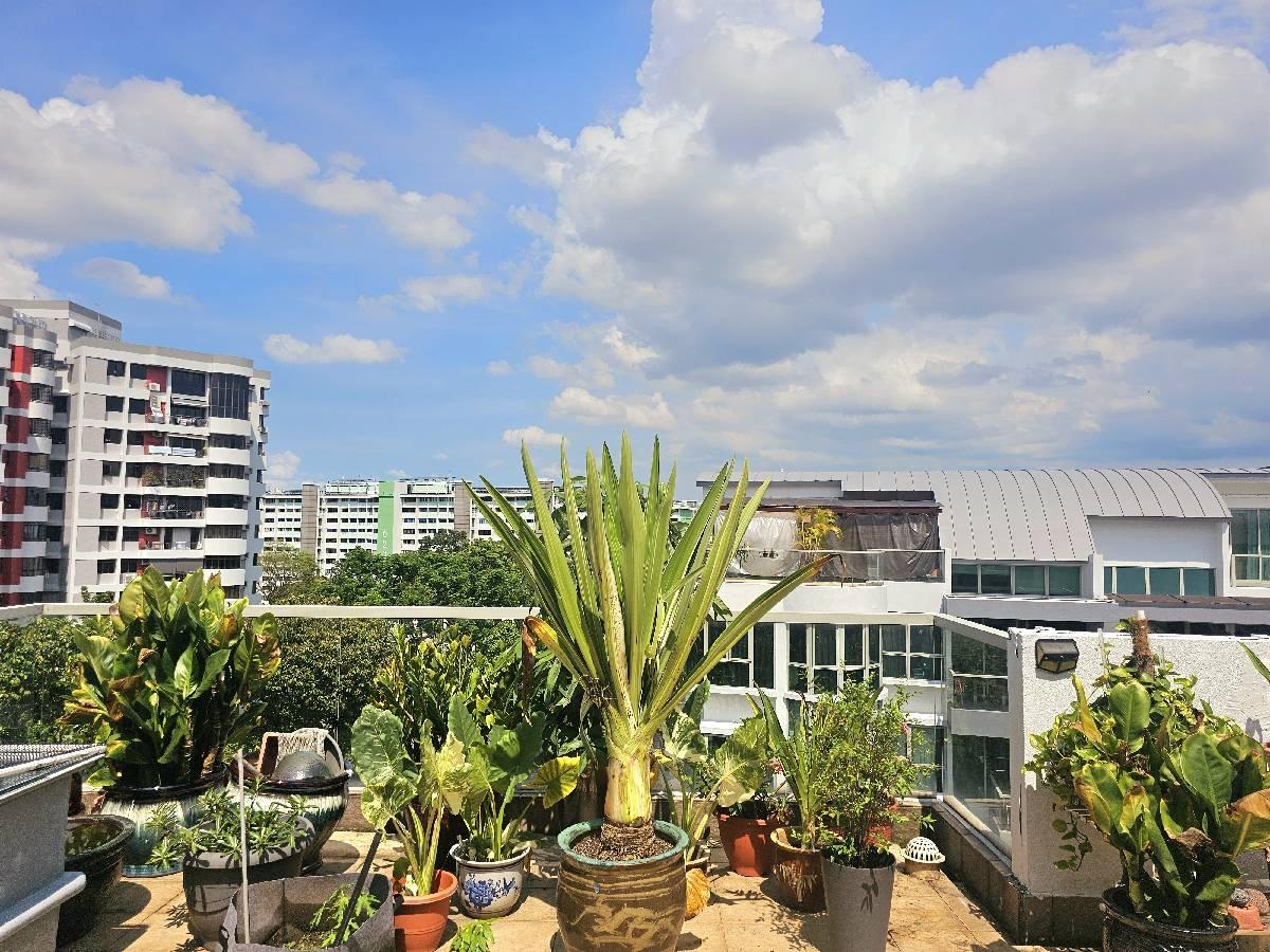 Condominium for Sale: Yio Chu Kang Road, D26, 787066