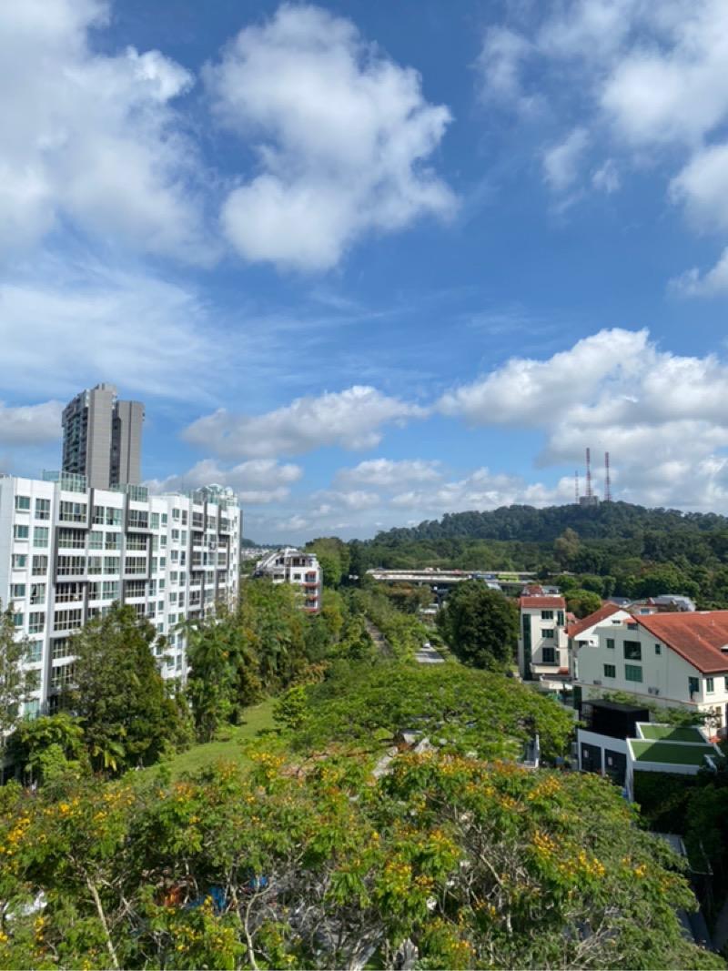 Prop-GPT: Condominium: D21 Upper Bukit Timah Mayfair Modern