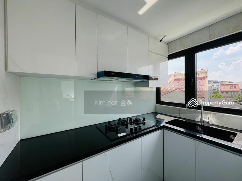 Corner Terrace for Sale, Brand New & Luxury, 6 levels with Lift, basement with natural light/ventilation and swimming pool, SGD 6,500,000 | Freehold