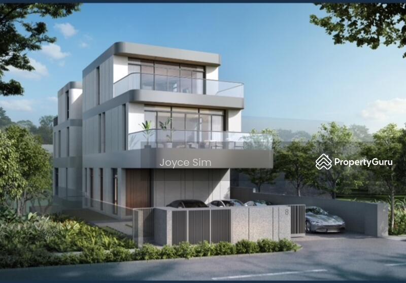 Prop-GPT: Detached: D10 Holland Brand New detached close to Henry Park, Mount Sinai