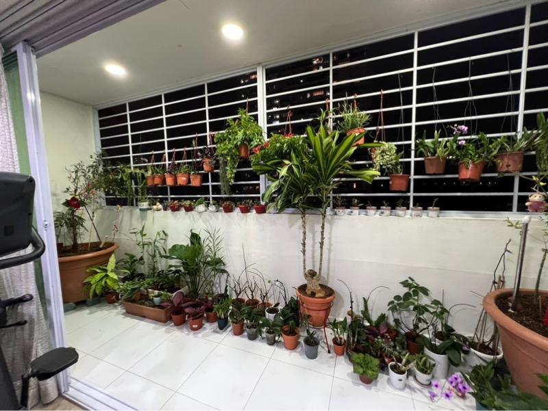 Apartment for Sale, Sherwood Towers Apartment For Sale, $2,150,000, 4 Bed 3 Bath 1,830 sqft $1,175.00 psf, SGD 2,150,000 | 99-year Leasehold