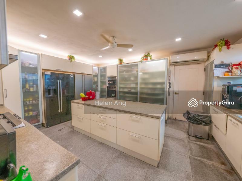 Semi-Detached for Sale, ?1Km Acs ?3 Mins Mrt ?Novena ?Renovated ? ??8628 6026 Helen, SGD 9,680,000 | Freehold