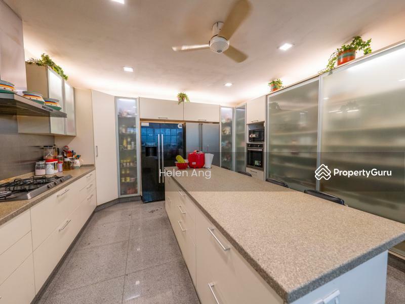 Semi-Detached for Sale, ?1Km Acs ?3 Mins Mrt ?Novena ?Renovated ? ??8628 6026 Helen, SGD 9,680,000 | Freehold
