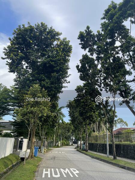 Bungalow - Good Class for Sale, Binjai Park, SGD 38,800,000 | Freehold