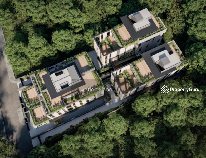 Detached for Sale, Brand New Luxury Detached @ Palm road! Architectural Master Class, SGD 11,580,000 | Freehold