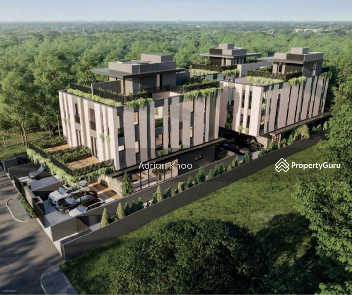 Detached for Sale, Brand New Luxury Detached @ Palm road! Architectural Master Class, SGD 11,580,000 | Freehold