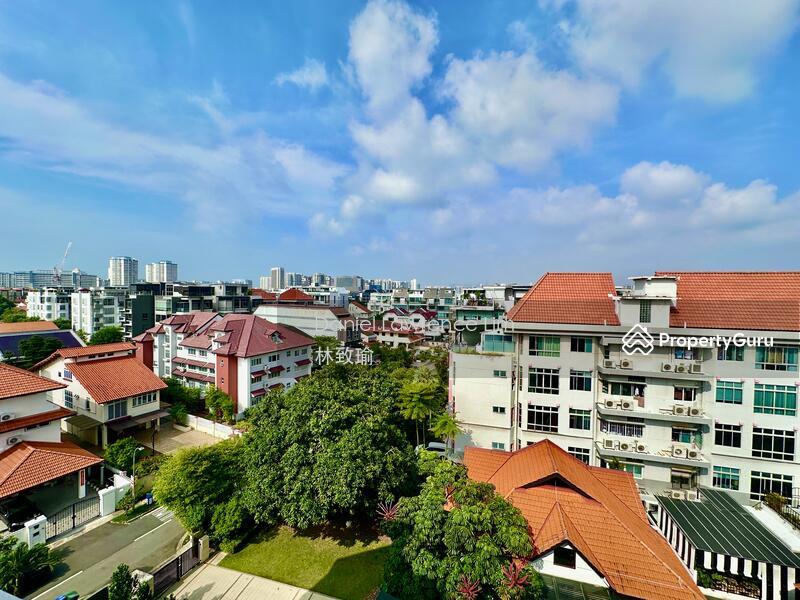 Prop-GPT: Apartment: D15  Super CHEAP FREEHOLD Condo within 1KM to Tao Nan, Walk to Marine Terrace MRT