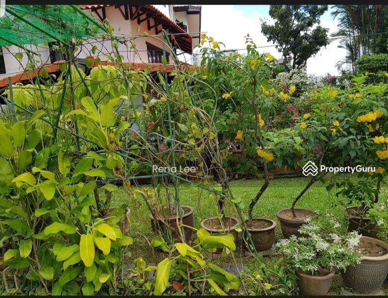 Bungalow for Sale, ??Last Call *** ??Beautiful Elevated Big Land@Raffles Park ??91916668 Rena For Exclusive Viewing, SGD 25,000,000 | Freehold