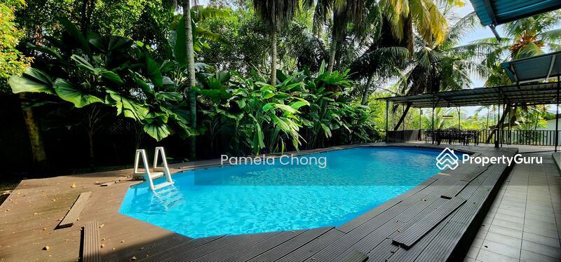 Bungalow - Good Class for Sale, Wow! $18Xx Psf! ?? Elevated Swiss Gcb ?? Tranquil Green Privacy???????) ?? Sole Agt Pam 90228600, SGD 39,900,000 | Freehold
