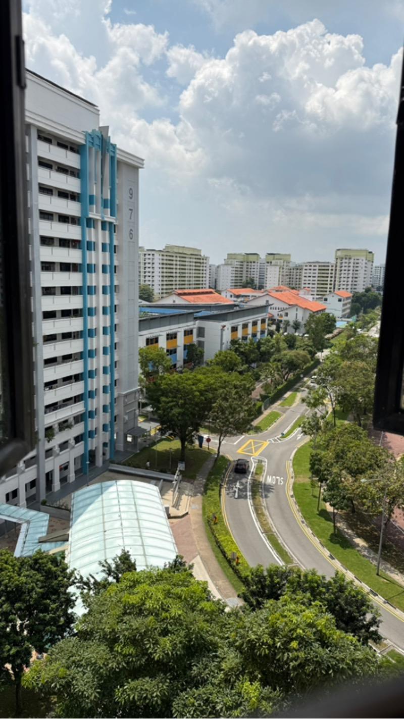 HDB Apartment for Sale: D19, 530958