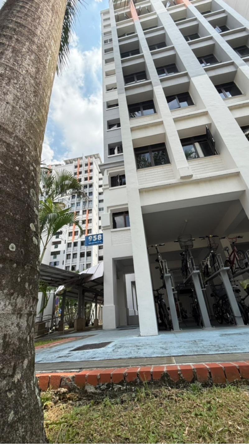 HDB Apartment for Sale: D19, 530958
