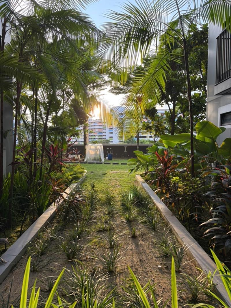 Condominium for Sale, The Wisteria Condominium For Sale, $860,000, 2 Bed 1 Bath 635 sqft $1,354.00 psf, SGD 860,000 | 99-year Leasehold