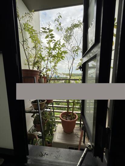 HDB Apartment for Sale: D18, 522605
