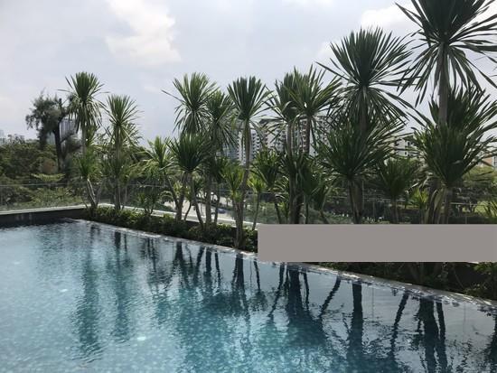 Condominium for Sale: D11, 309466