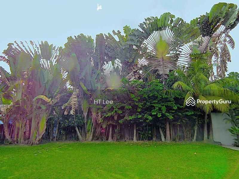 Bungalow - Good Class for Sale, Binjai Park, SGD 32,888,000 | Freehold