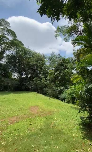 Bungalow - Good Class for Sale, ??No ABSD ??6 houses in 1 title ??Subdivision allowed, SGD 38,880,000 | Freehold