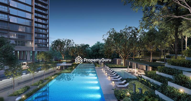 Blossoms By The Park