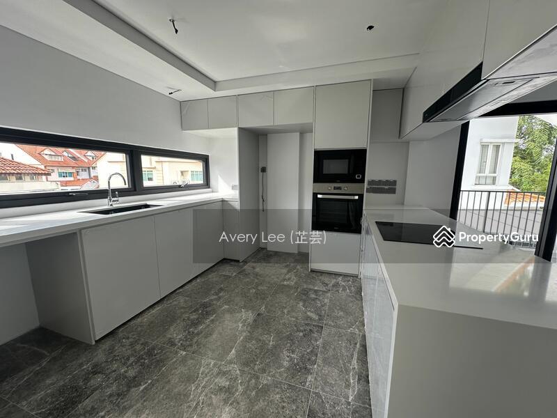 Semi-Detached for Sale, ??D19 Lorong Chuan OPEN HOUSE, SGD 6,980,000 | 999-year lease