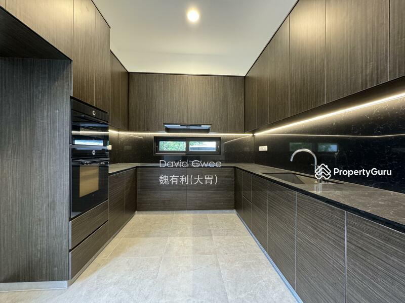 Detached for Sale, Cheapest Brand New Detached 1 Km Henry Park  Call DavidGwee 81394988 Now!, SGD 14,880,000 | 999-year lease