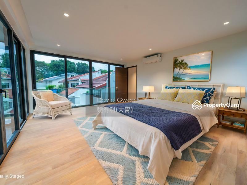 Detached for Sale, Cheapest Brand New Detached 1 Km Henry Park  Call DavidGwee 81394988 Now!, SGD 14,880,000 | 999-year lease