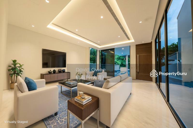 Detached for Sale, Cheapest Brand New Detached 1 Km Henry Park  Call DavidGwee 81394988 Now!, SGD 14,880,000 | 999-year lease