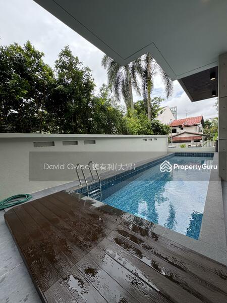 Detached for Sale, Cheapest Brand New Detached 1 Km Henry Park  Call DavidGwee 81394988 Now!, SGD 14,880,000 | 999-year lease