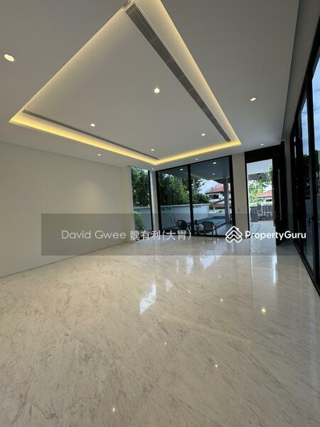 Detached for Sale, Cheapest Brand New Detached 1 Km Henry Park  Call DavidGwee 81394988 Now!, SGD 14,880,000 | 999-year lease