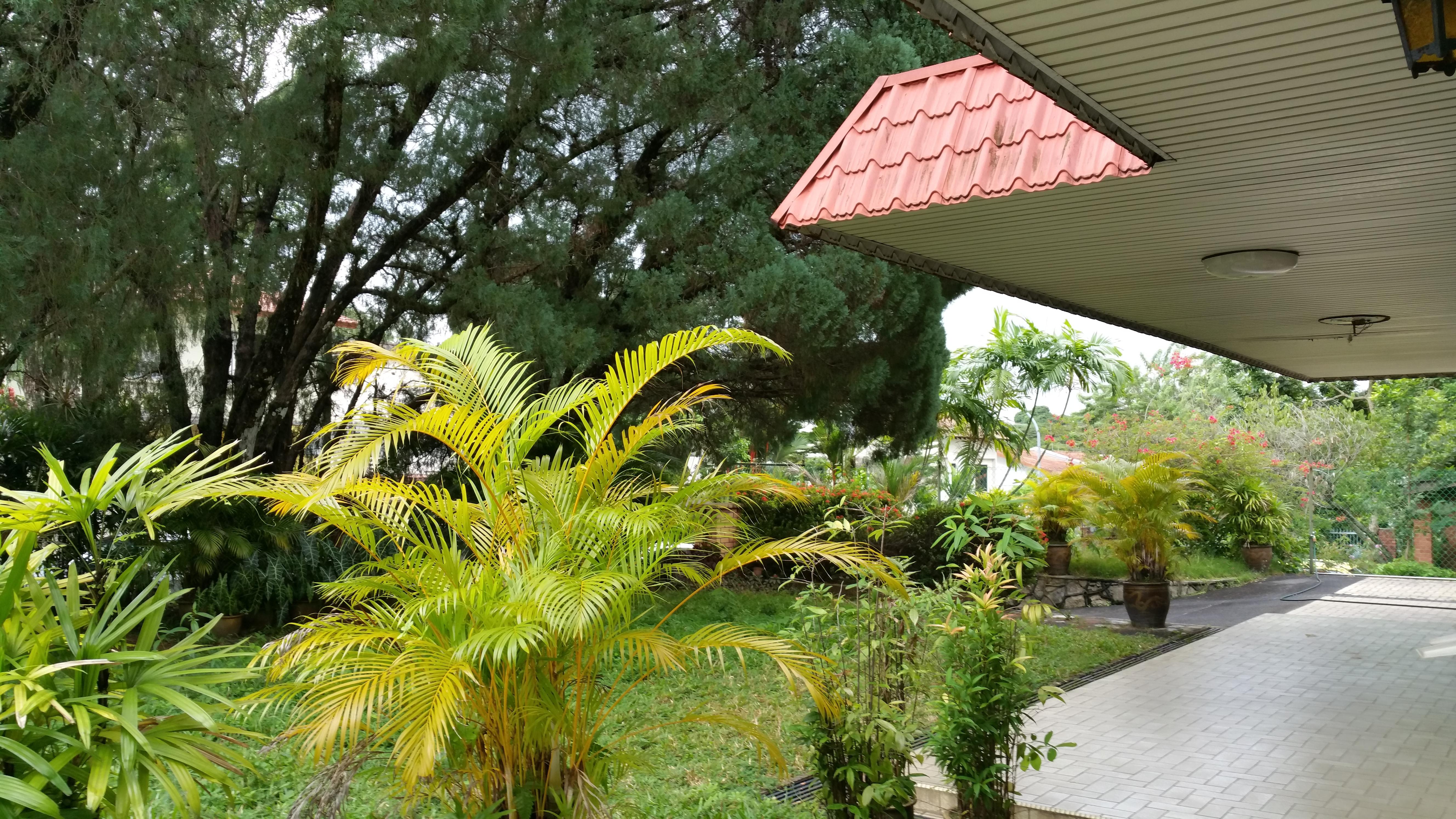 Detached for Sale, ??New List! ??Super Charming Black And White Gcb??, SGD 19,800,000 | Freehold