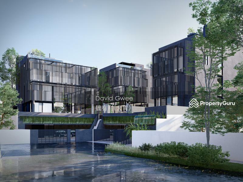 Detached for Sale, View Daily! $3162 / psf Only Brand New Detached Call Davidgwee 81394988 Now!, SGD 13,880,000 | Freehold