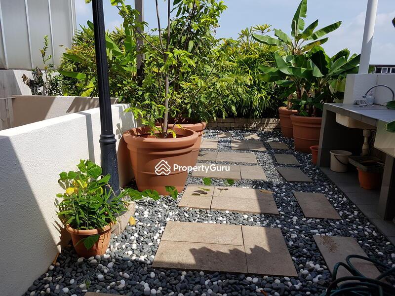 Terrace for Sale, Mimosa Terrace, SGD 4,100,000 | Freehold