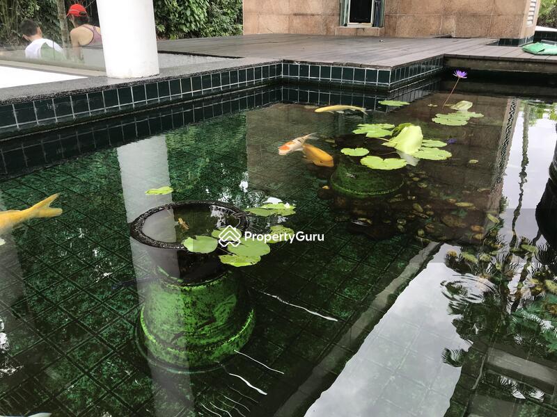 Terrace for Sale, Binjai Crest, SGD 3,130,000 | 99-year lease