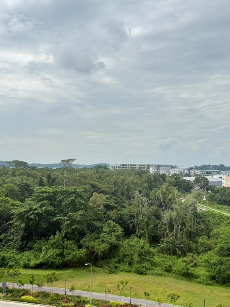 238 Pasir Ris Street 21 HDB Apartment For Sale, $939,899, 4 Bed 2 Bath 1,582 sqft $594.00 psf