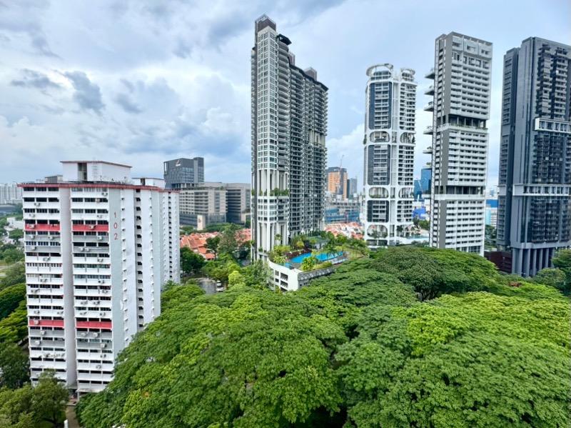 Prop-GPT: HDB Apartment: D02  109 Spottiswoode Park Road