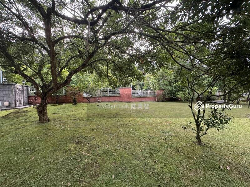 Prop-GPT: Semi-Detached: D11  EVELYN LEK 94889556HUGE PLOTREDEVELOPMENT$15xx psfD11 FH